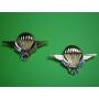 Brevets Moniteur Para & Chuteur Op�rationnel