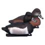 Formes de canard morillon x6 *HD*