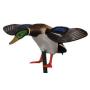 Forme de canard colvert � ailes tournantes