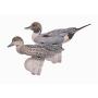 Pack de 6 appelants canards pilets FUD, r�volutionnaire...!