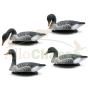Formes d'oies cendr�es flottantes x4 *HD*