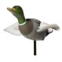 Canard ailes tournantes
