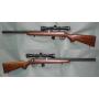 NORINCO JW15A 22LR CUSTOM SILENCE + LUNETTE 4x32