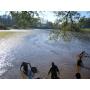 Pisciculture agr��e propose ses poisson d'�tang, brochets, gardons, perches etc....