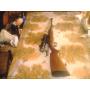 carabine cz 550 battue