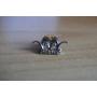 PINS BLASER