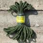 CORDE 9MM  LONGUEUR 15M  NEUF  ( 319432 )