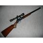 CARAINE 22LR A LEVIER