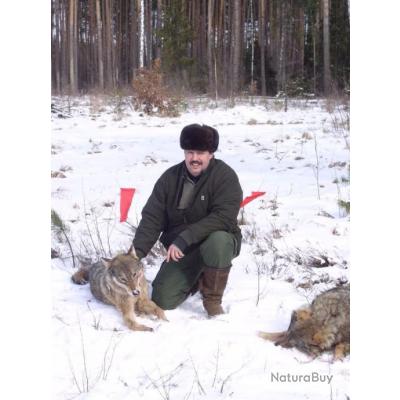 La chasse et la pêche tv strim regarder en ligne