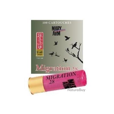 Pack 100 Cart Mary Arm Migration 28 Cal 20 28 G Plomb N5 5 6 5