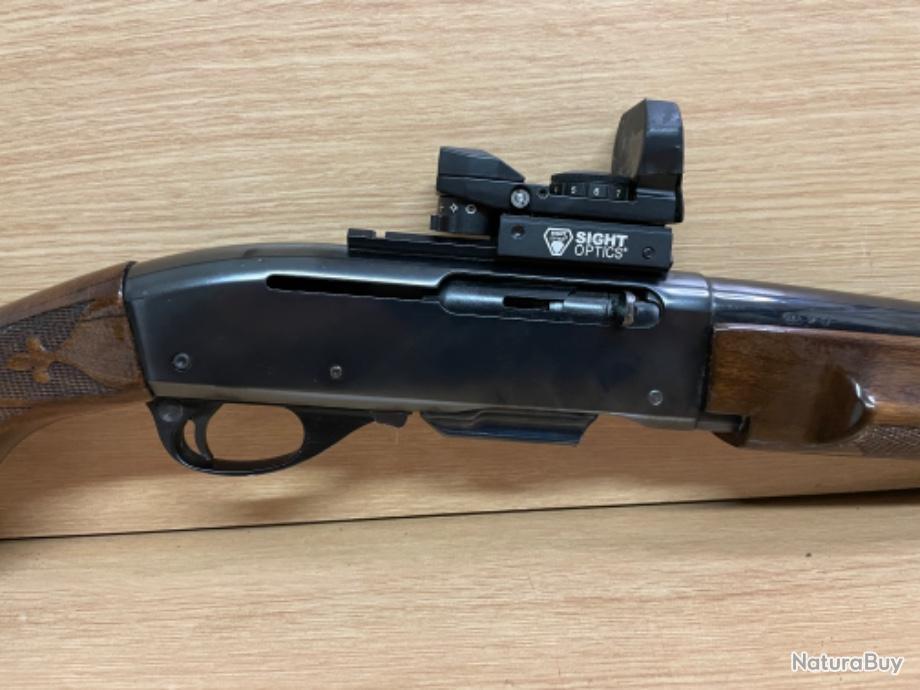 Carabine Semi Automatique Remington Calibre Rem Avec Point