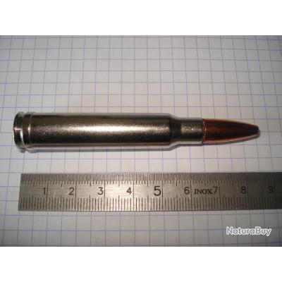 Une cartouche de 338 winchester magnum marque SPEER étui nickelé ogive