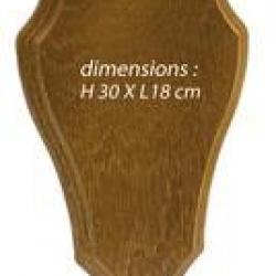 Ecusson pour trophée chevreuil dim. H. 30 x L. 18 cm