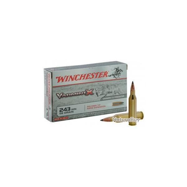 Munition grande chasse Winchester Extreme Point Cal. 243 Win 95 grains
