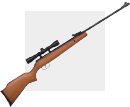 Carabines  plomb