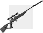 Carabines 22LR