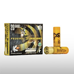 Munitions lisses balles