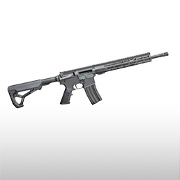 Carabines semi-automatiques