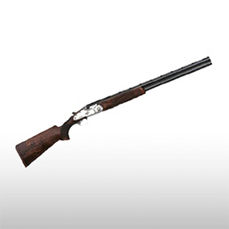 Fusils de parcours de chasse