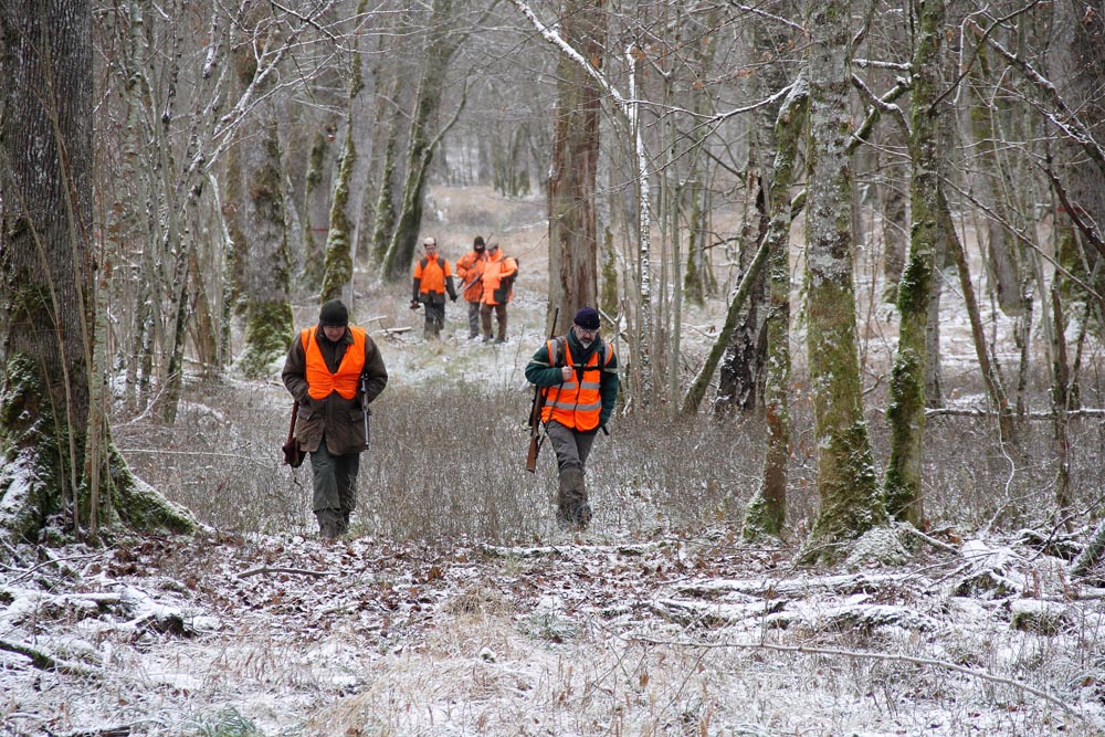 Froid moi plus jamais