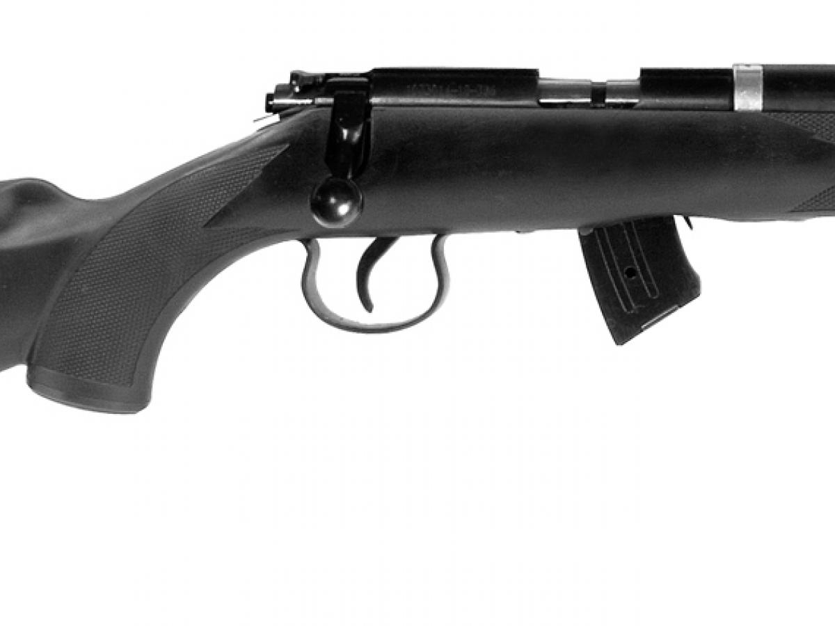 Pack Carabine Norinco NR15 Composite Calibre 22 LR avec Silencieux et  Lunette