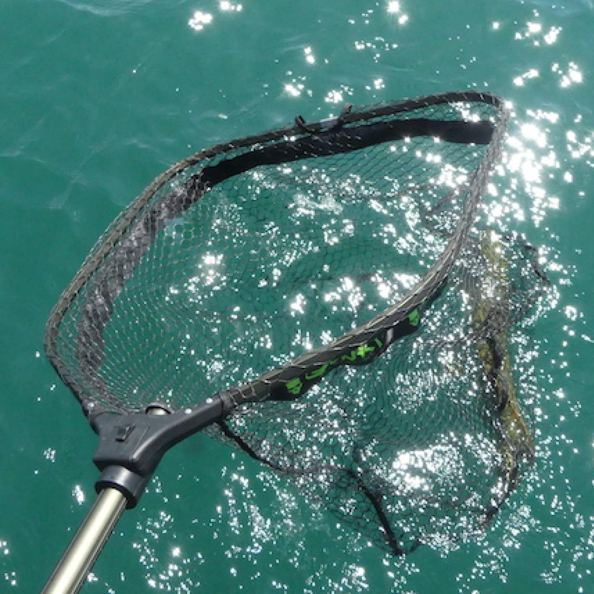 Filet de pêche pliant de 50 cm, type d'ouverture, épuisette de pêche, filet  de pêche