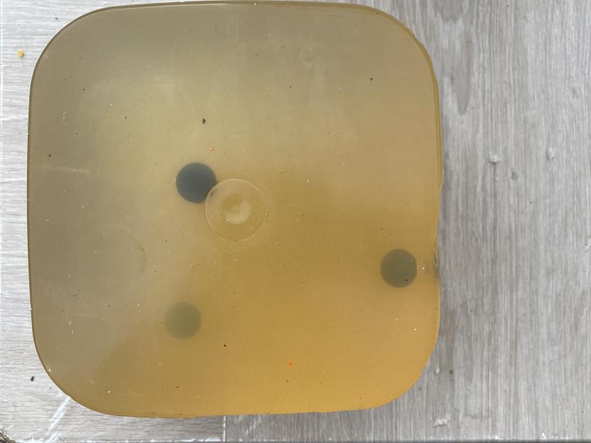 Test du fusil à pompe HDX 68 40 joules d'Umarex