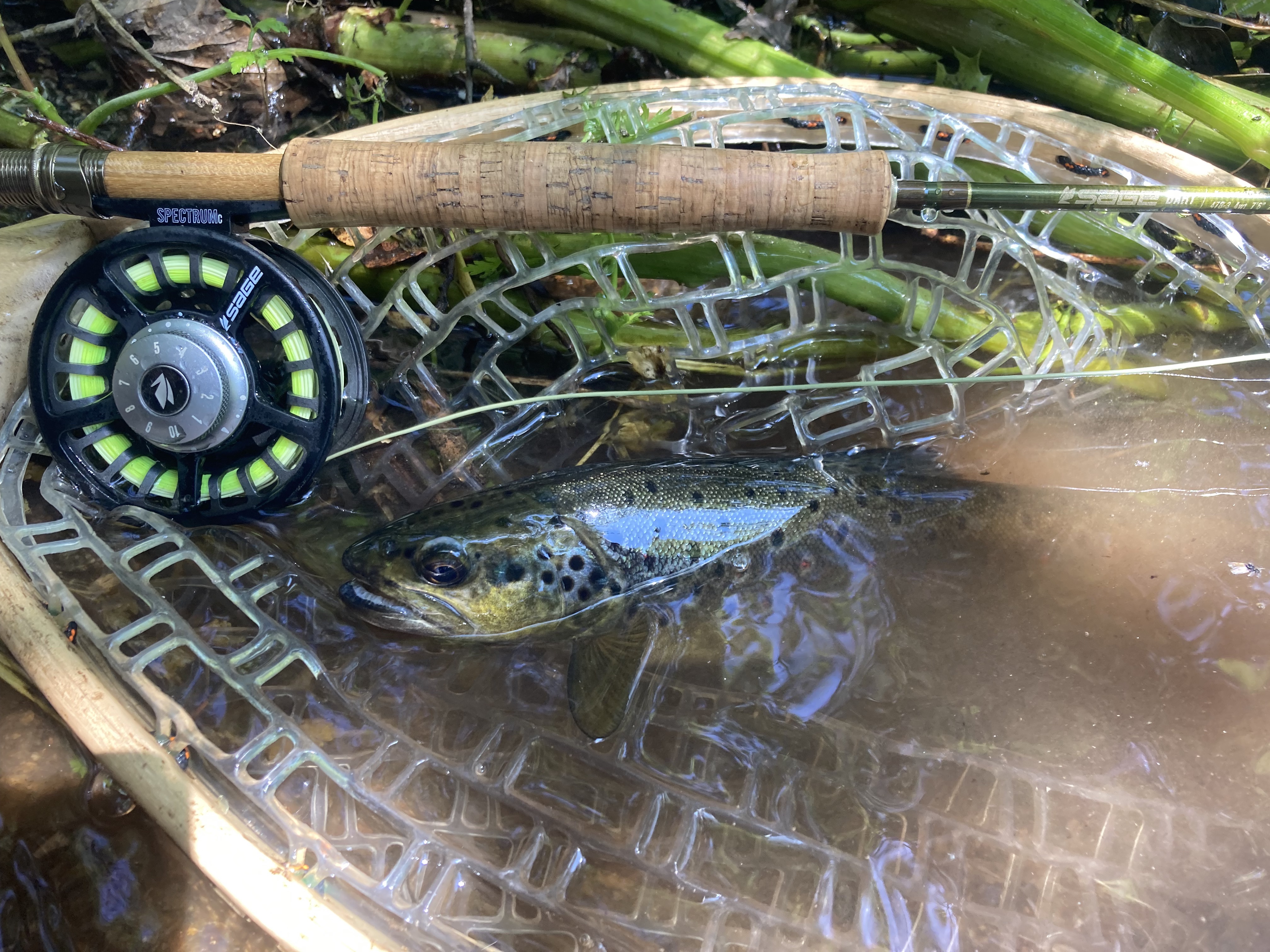 Sage DART