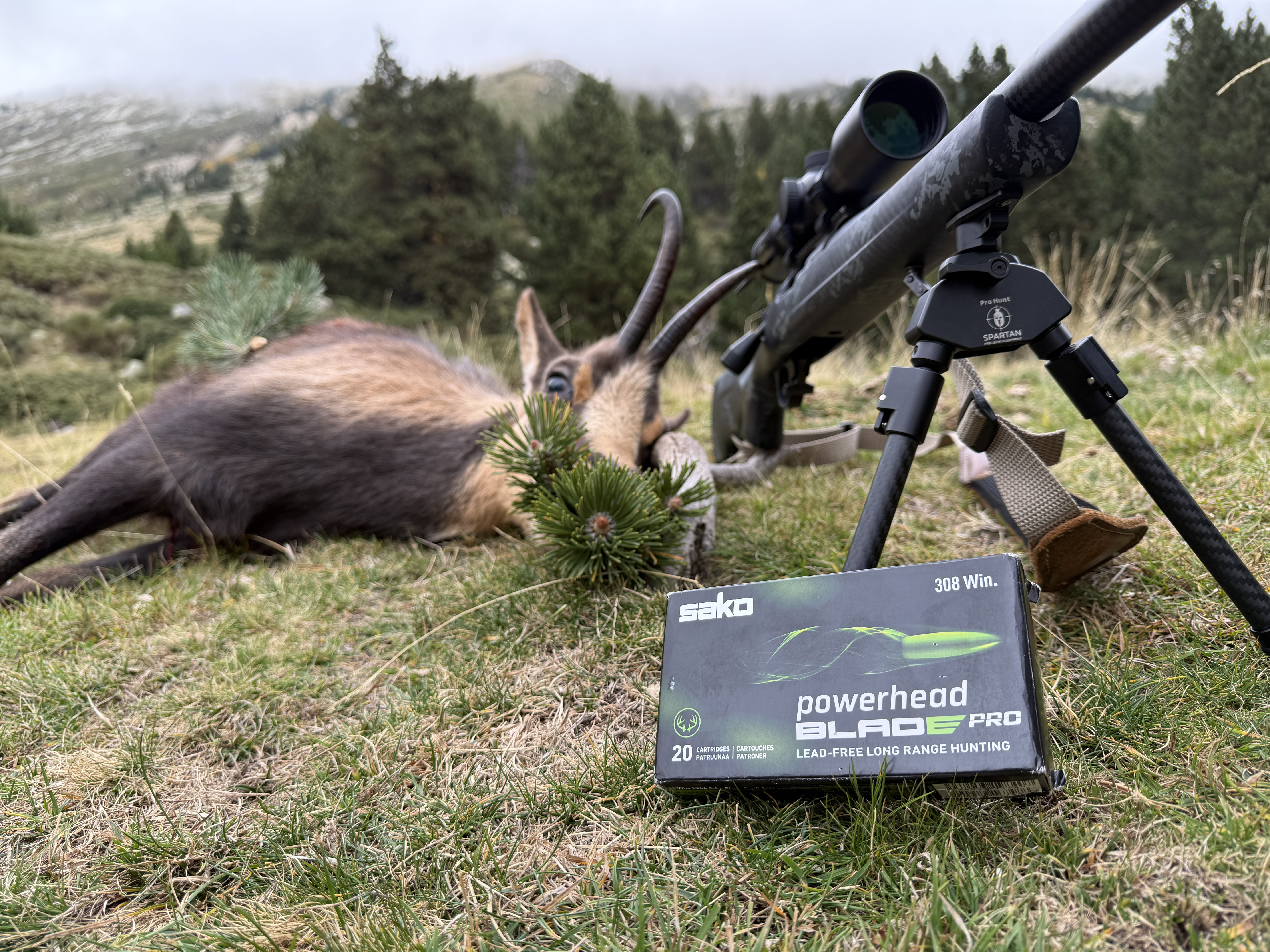 isard a t tir  une quinzaine de mtres