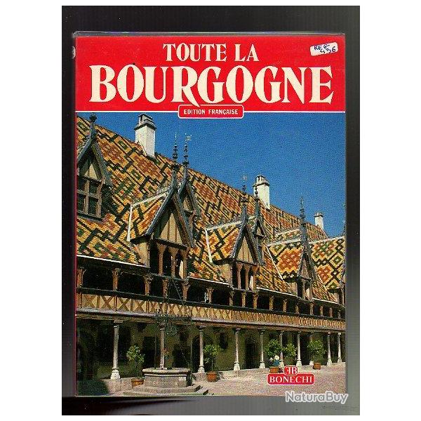 toute la bourgogne.de jean philippe lecat,