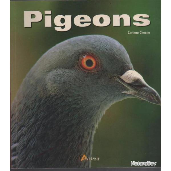 pigeons de corinne chesne