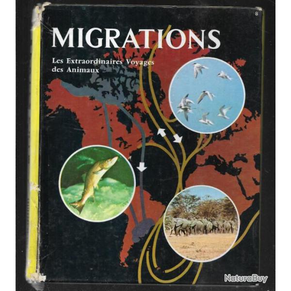 migrations les extraordinaires voyages des animaux