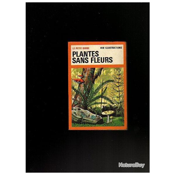 le petit guide des plantes sans fleurs 450 illustrations