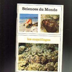 les coquillages. Sciences du monde n°137