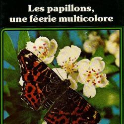les papillons ,une féérie multicolore umberto parenti