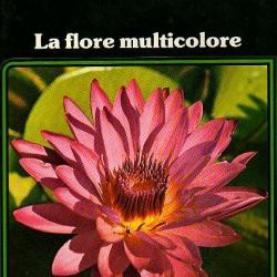 la flore multicolore