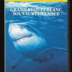 hommes et requins . hans hass. plongée sous-marine + dvd grand requin blanc sous surveillance