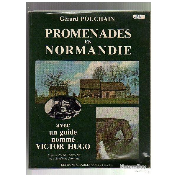 promenades en normandie avec un guide nomm victor hugo