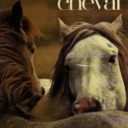 larousse du cheval collectif d'auteurs