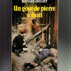 un gout de pierre à fusil . Bernard Quillet , Picardie .oise ,aisne