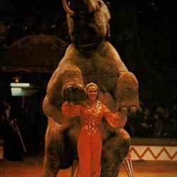 la passion du cirque david jamieson et sandy davidson
