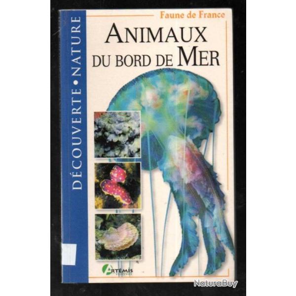 animaux du bord de mer faune de france