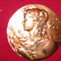 Medaille de Marianne