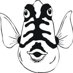 Sticker poisson autocollant