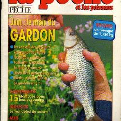 la pêche et les poissons  601. juin 95. le gardon, mouche, bar du bord, montage 15 leurres