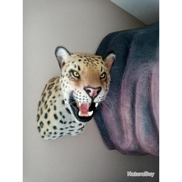 Taxidermie trophe factice lopard chasse