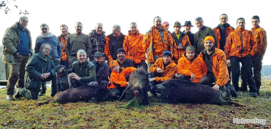 Action De Chasse Disponible 2022 2023 72
