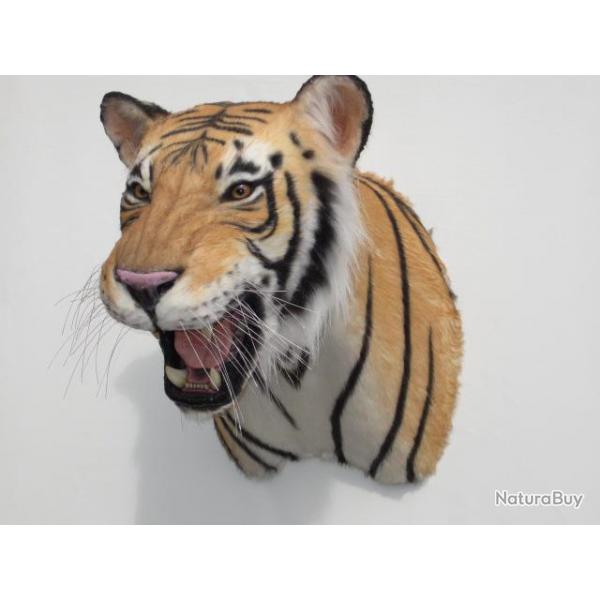 taxidermie naturalis empaill chasse  rplique tigre du Bengal