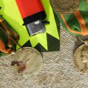 Lot de 6 médailles militaires sous cadre - Médailles - Décorations (7483592)