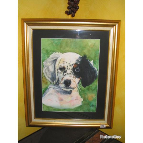 Aquarelle ( jeune setter anglais)